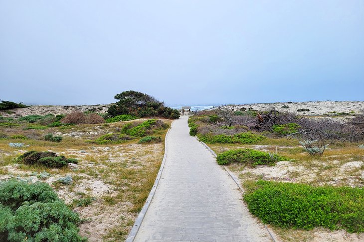 Dunes Natural Preserve, Asilomar State Beach