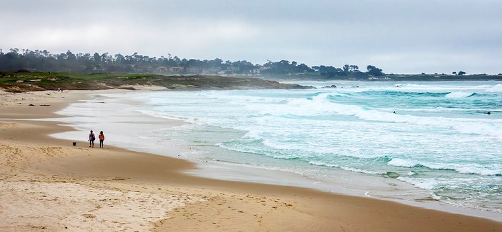 12 Best Beaches in Monterey, CA | PlanetWare