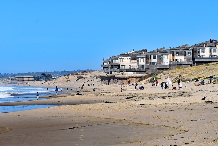 Las 12 mejores playas de Monterey, CA