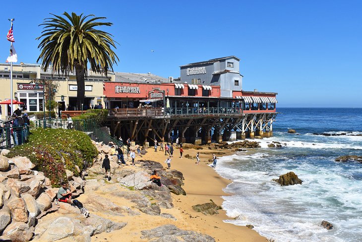 Las 12 mejores playas de Monterey, CA