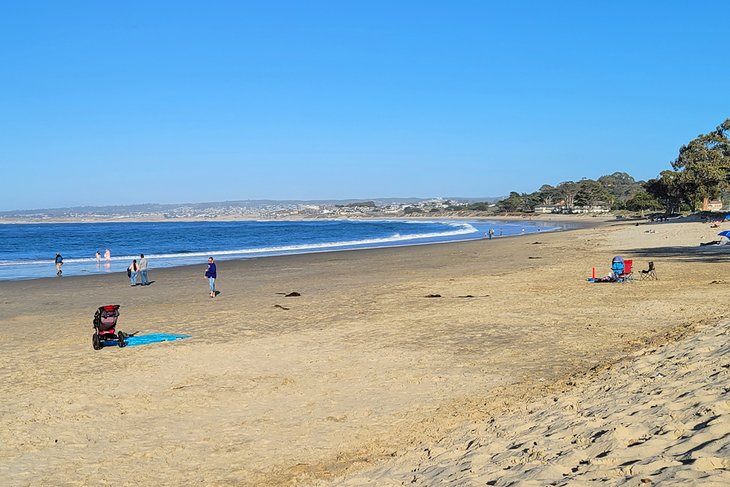 Las 12 mejores playas de Monterey, CA