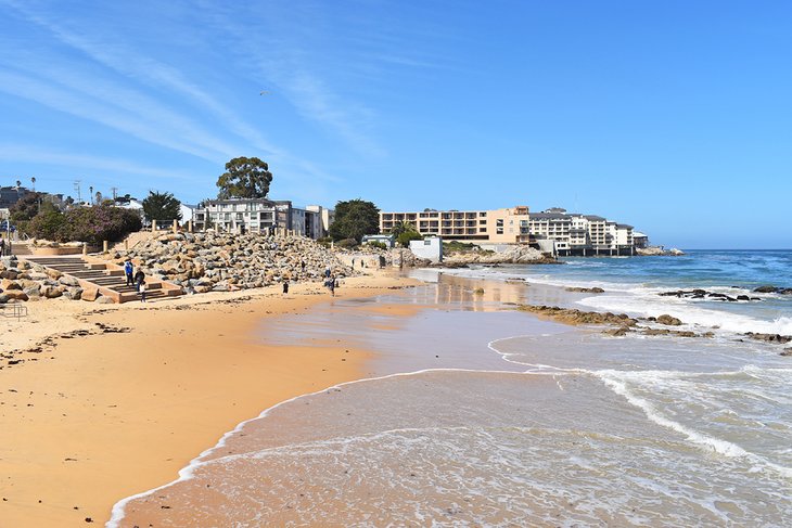Las 12 mejores playas de Monterey, CA
