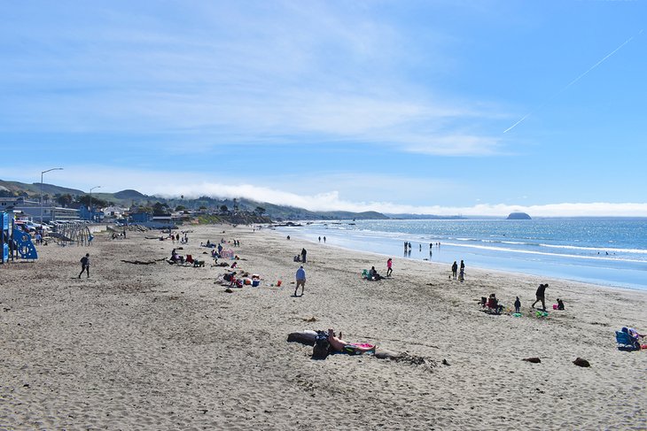 Cayucos State Beach