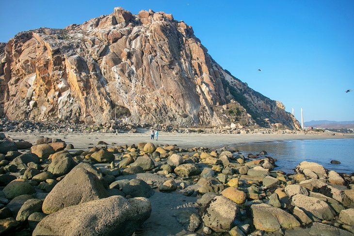 Morro Rock Jetty Beach