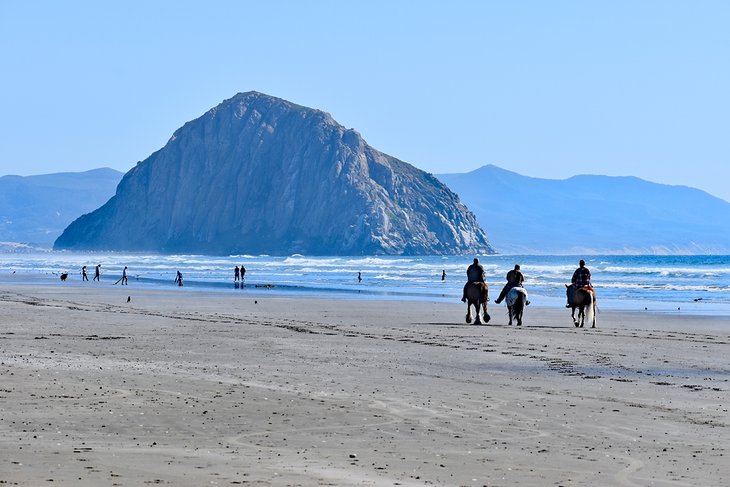 12 mejores playas cerca de Morro Bay, CA