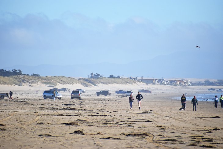 Vehicles on the south end of Pismo State Beach
