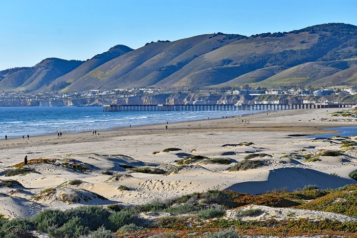 12 mejores playas cerca de Morro Bay, CA