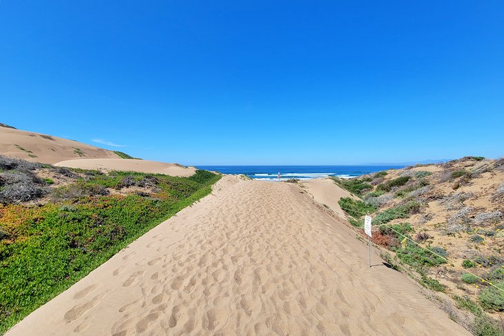 12 mejores playas cerca de Morro Bay, CA