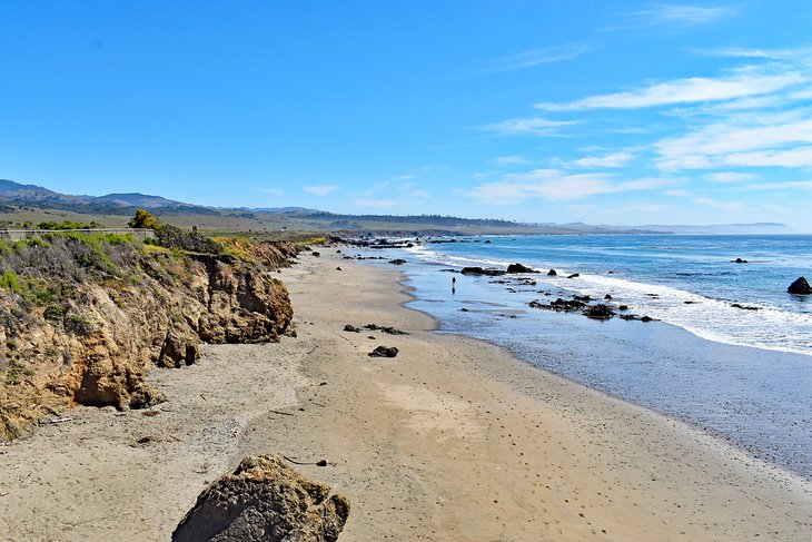 William Randolph Hearst State Beach