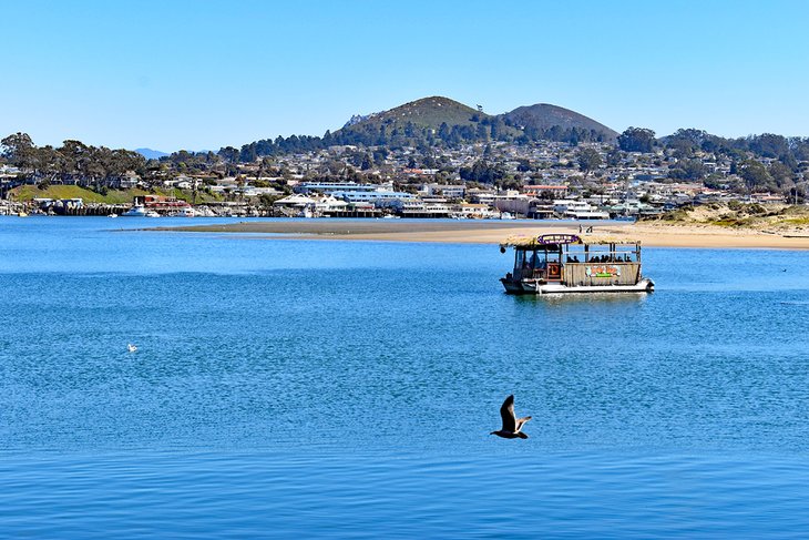 Morro Bay National Estuary