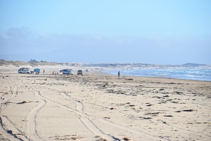 Oceano Dunes State Vehicular Recreation Area