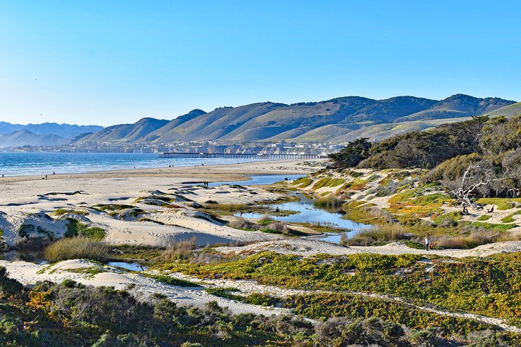 Pismo State Beach