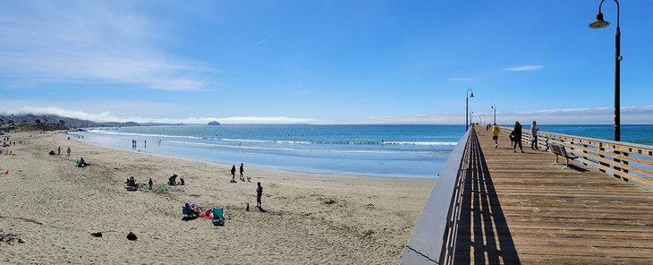 Cayucos State Beach