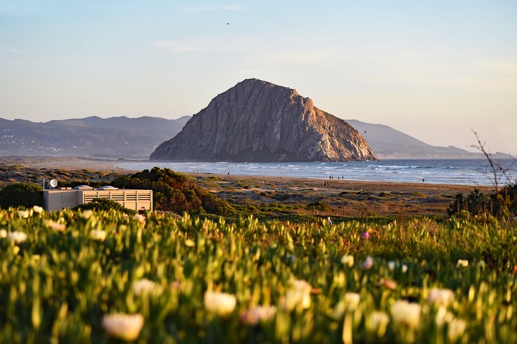 Morro Strand State Beach