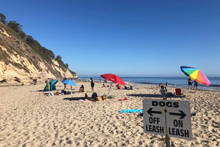 Umbrellas on Hendry's Beach