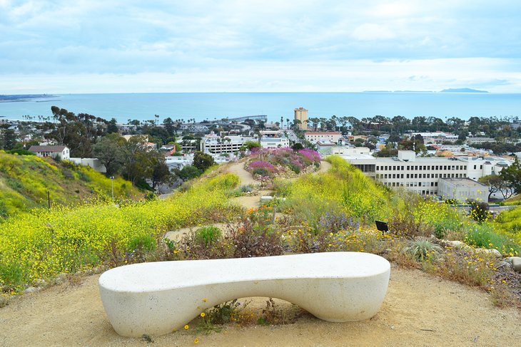 Bench at the Ventura Botanical Gardens