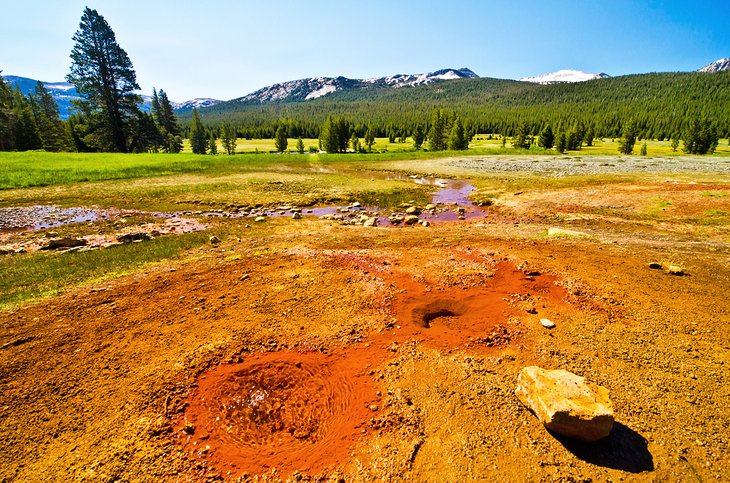 Soda Springs, Yosemite National Park