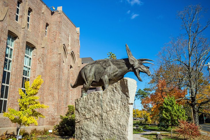 Yale Peabody Museum of Natural History