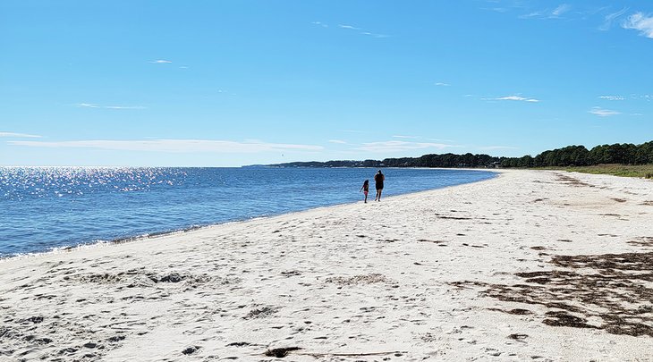 Carrabelle Beach