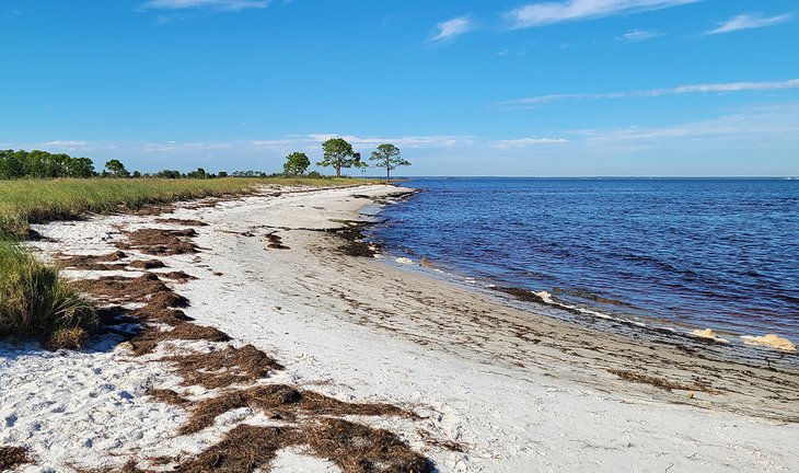 Mashes Sands Beach