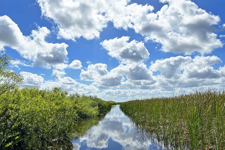 Airboat tour in the Everglades