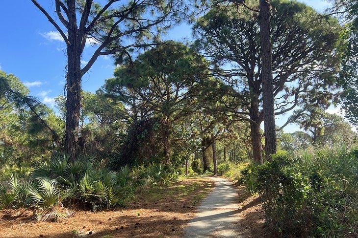 Seacrest Scrub Natural Area