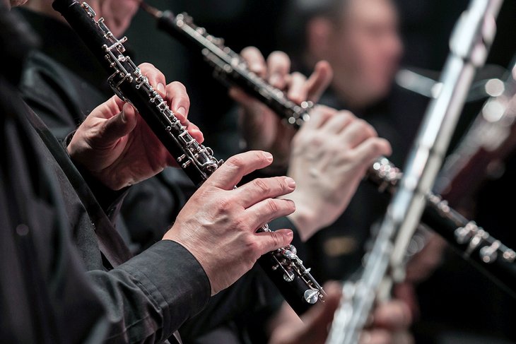 Musicians in an orchestra