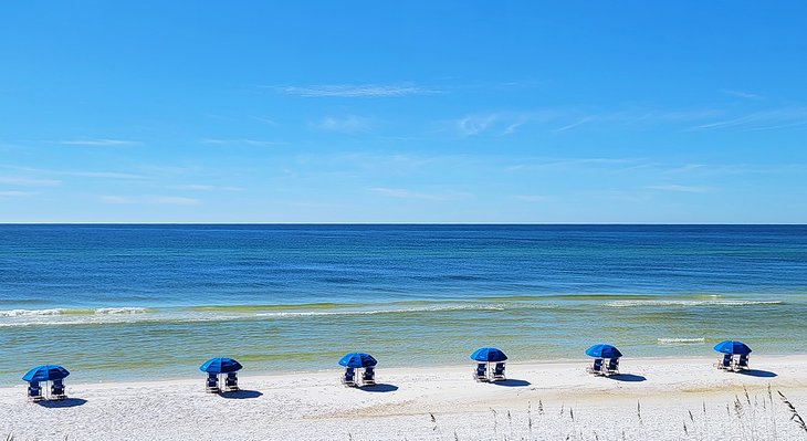 Umbrellas and chairs on the beach in Seaside