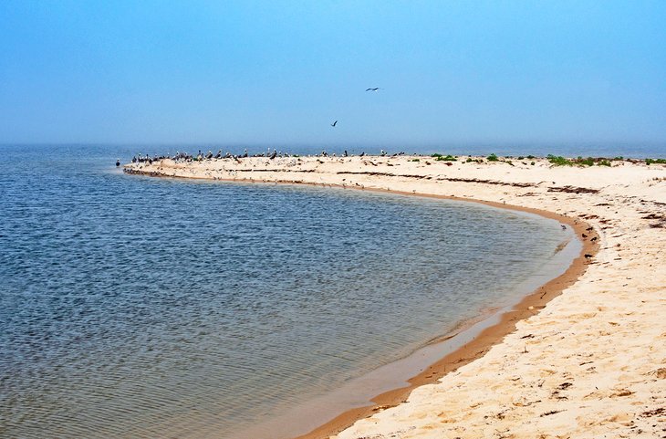 Bald Point State Park