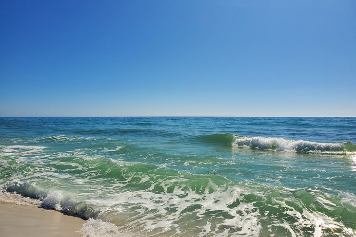 11 mejores playas cerca de Tallahassee