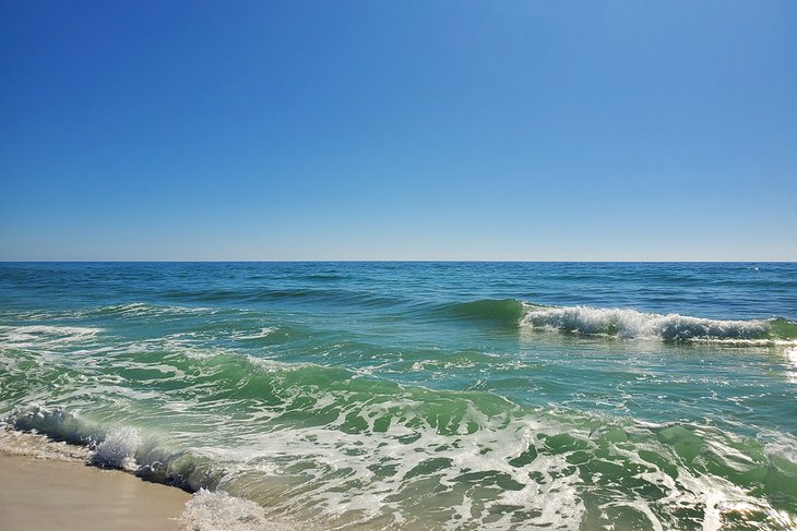 Beach on the Forgotten Coast near Dog Island