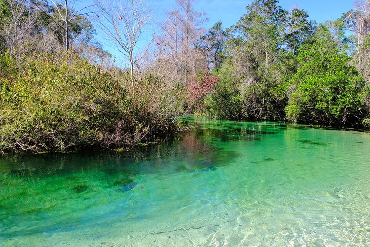 Weeki Wachee Springs State Park