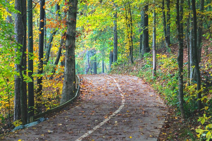 Suwanee Greenway Trail at George Pierce Park