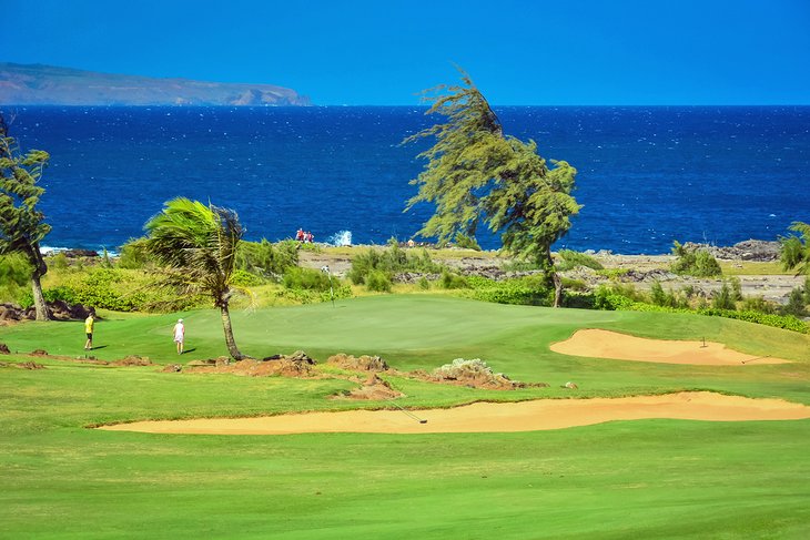 View of Kapalua Bay from the golf course