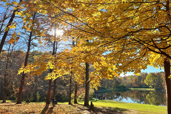 Fall colors at Eagle Creek Park and Nature Preserve