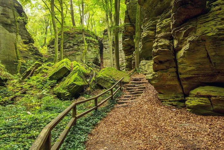 Mullerthal Trail in Berdorf