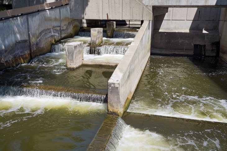 Fish Ladder Sculpture