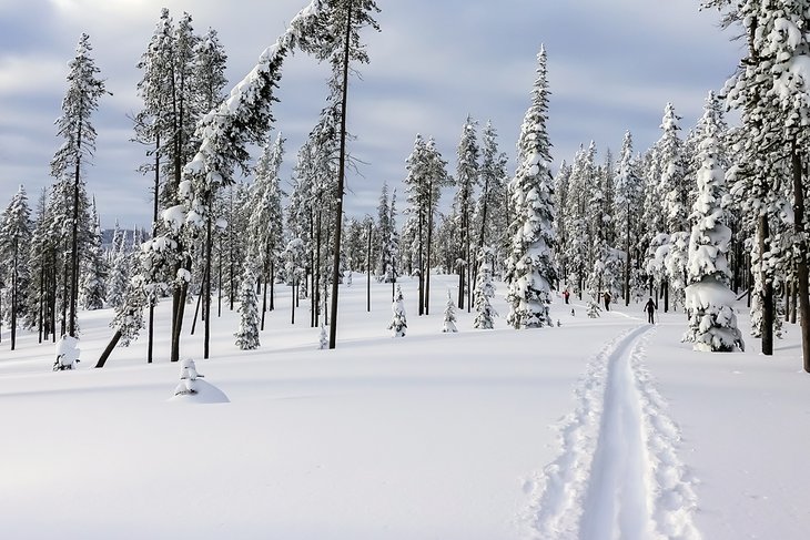 Cross-country skiing In Montana