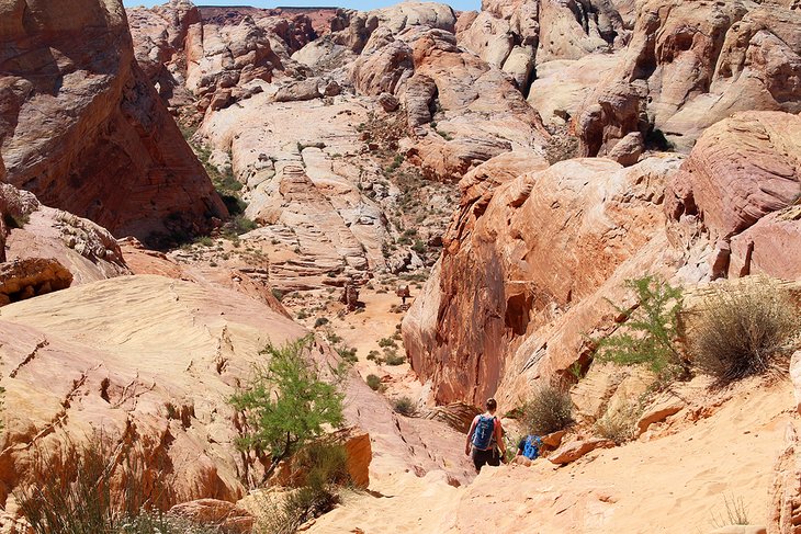 White Domes Trail, Valley of Fire