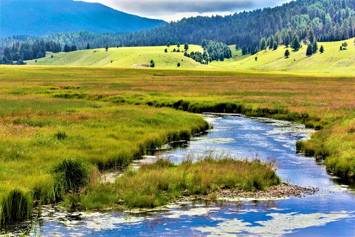 Valles Caldera National Preserve