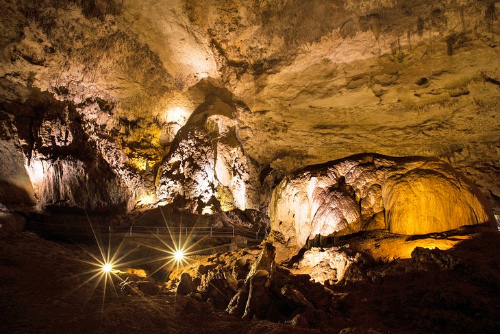 Rio Camuy Caves (Parque de las Cavernas del Río Camuy)