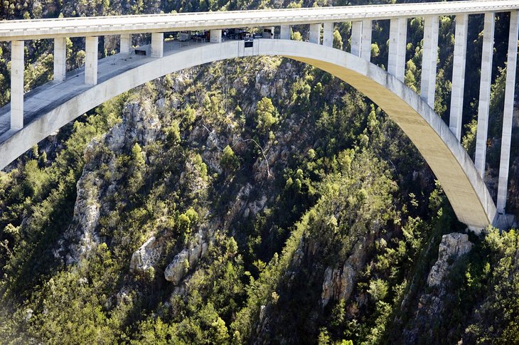 Bloukrans Bungy