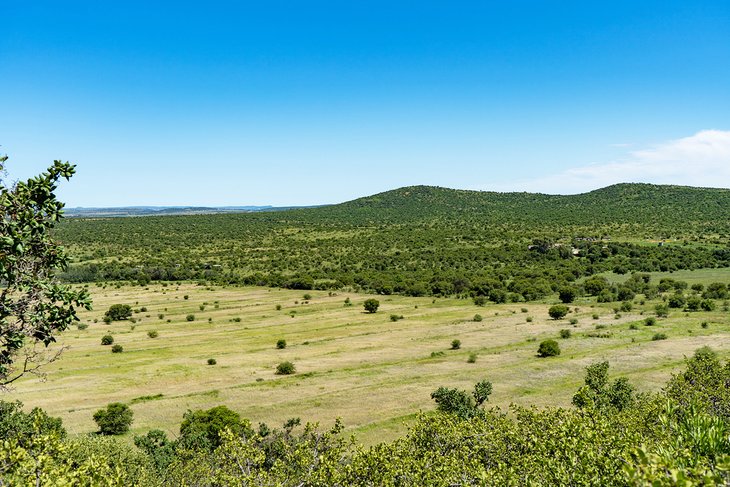 The Vredefort Crater