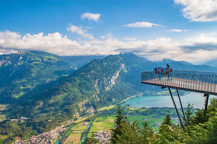 Harder Kulm viewing platform