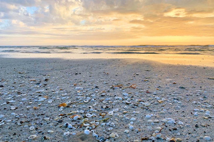 13 mejores playas en Corpus Christi, TX