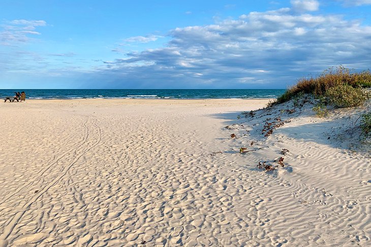 Padre Island National Seashore