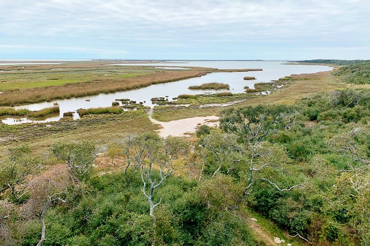 Aransas National Wildlife Refuge