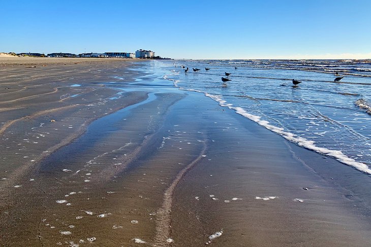 17 mejores playas en Galveston, TX