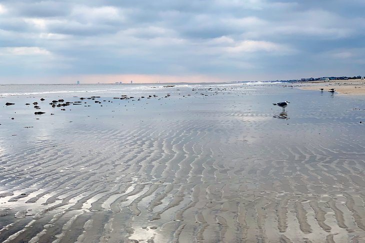 17 mejores playas en Galveston, TX