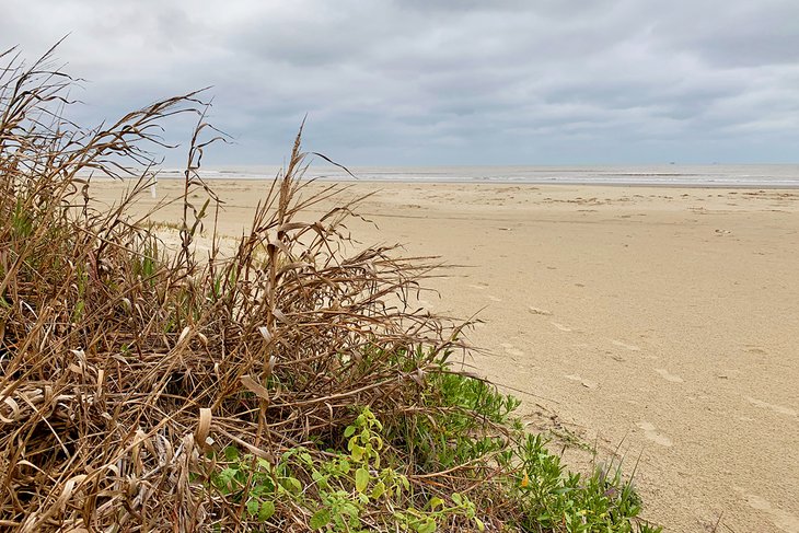 17 mejores playas en Galveston, TX